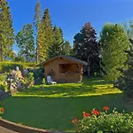 Alpin Residenz Dachsteinperle 아파트호텔
