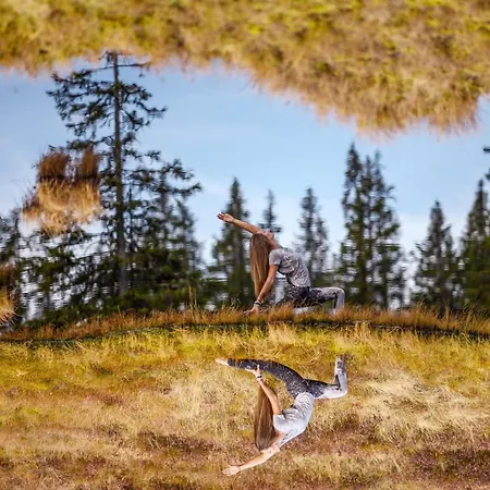 公寓式酒店 Alpin Residenz Dachsteinperle