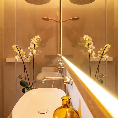 公寓式酒店 Alpin Residenz Dachsteinperle 拉姆绍达赫斯坦