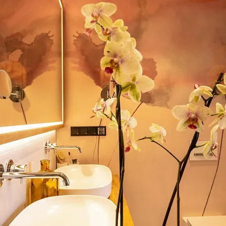 公寓式酒店 Alpin Residenz Dachsteinperle