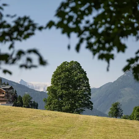 公寓式酒店 Alpin Residenz Dachsteinperle 拉姆绍达赫斯坦