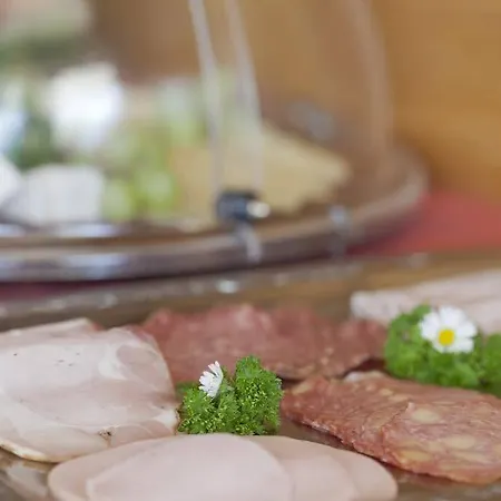 Alpin Residenz Dachsteinperle 公寓式酒店 拉姆绍达赫斯坦