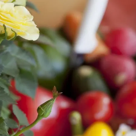 Alpin Residenz Dachsteinperle 拉姆绍达赫斯坦