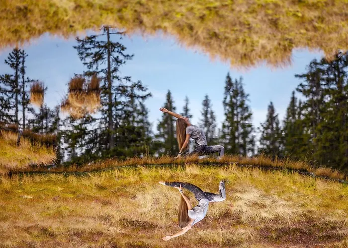 Ξενοδοχείο με διαμερίσματα Alpin Residenz Dachsteinperle